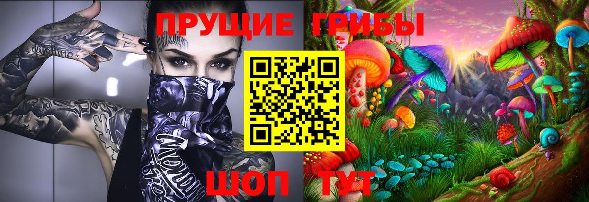 Псилоцибиновые грибы прущие грибы Костомукша